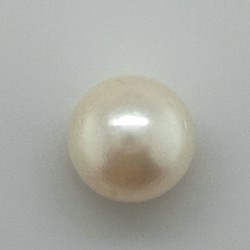 Pearl  (Moti) 5.93 Ct Certified